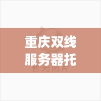 重庆双线服务器托管指南，打造稳定、安全、高效的网络环境