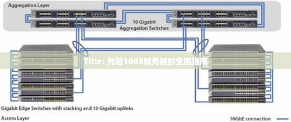 Title: 托管10GE服务器的全面指南