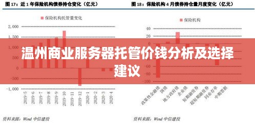 温州商业服务器托管价钱分析及选择建议