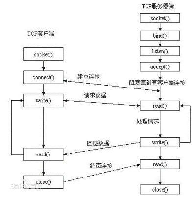 Title: 详解服务器数据托管的脚本技术及实践应用