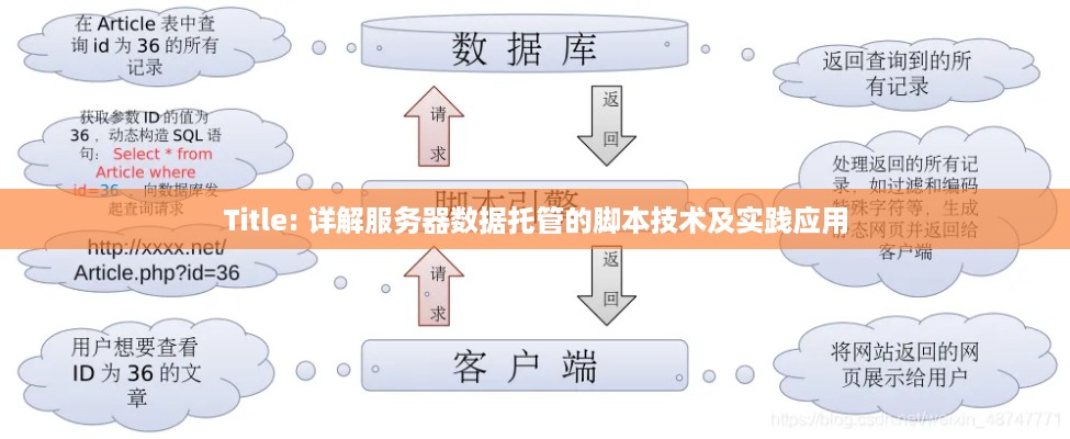 Title: 详解服务器数据托管的脚本技术及实践应用