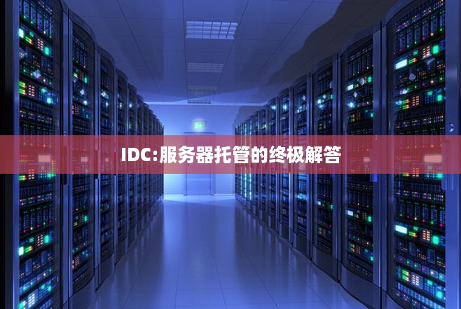 IDC:服务器托管的终极解答