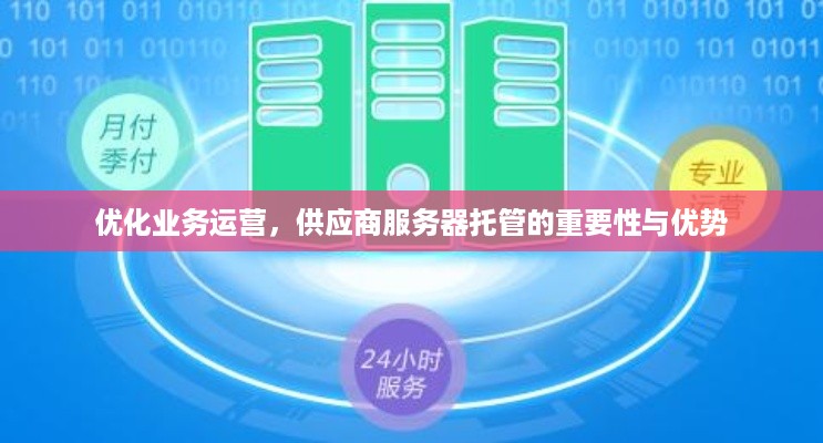 优化业务运营，供应商服务器托管的重要性与优势