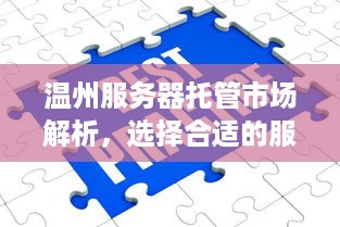 温州服务器托管市场解析，选择合适的服务商的关键因素及推荐