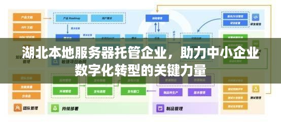 湖北本地服务器托管企业，助力中小企业数字化转型的关键力量