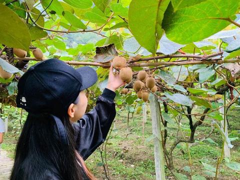 湖北全域服务器托管咨询，为企业提供高效稳定的云计算服务