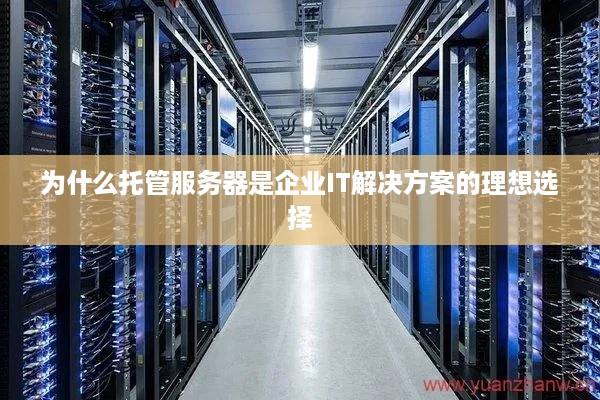 为什么托管服务器是企业IT解决方案的理想选择