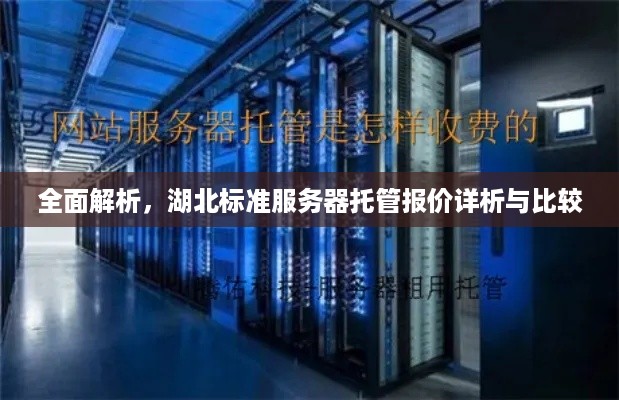 全面解析，湖北标准服务器托管报价详析与比较