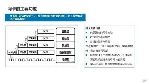 服务器托管U代表什么？——解析服务器托管的基础知识