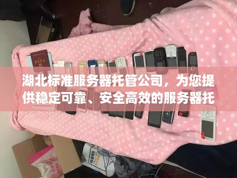 湖北标准服务器托管公司，为您提供稳定可靠、安全高效的服务器托管服务