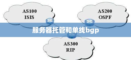 服务器托管和单线bgp