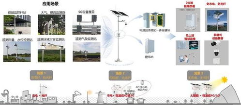 福州全域服务器托管公司，构建可靠、高效的IT基础设施