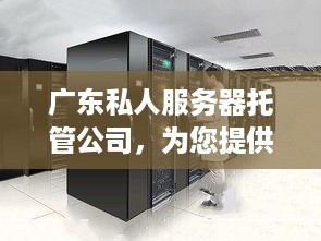 广东私人服务器托管公司，为您提供高效、安全的云计算解决方案