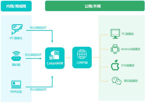 掌握流媒体服务器托管公司的关键要素和优势