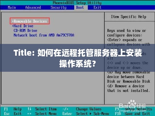 Title: 如何在远程托管服务器上安装操作系统？