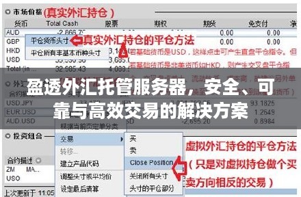 盈透外汇托管服务器，安全、可靠与高效交易的解决方案