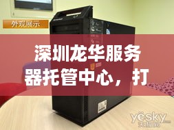 深圳龙华服务器托管中心，打造稳定、高效的企业IT解决方案