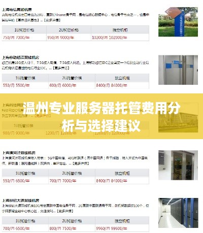 温州专业服务器托管费用分析与选择建议