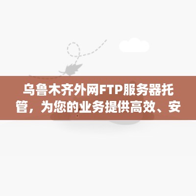 乌鲁木齐外网FTP服务器托管，为您的业务提供高效、安全的网络解决方案