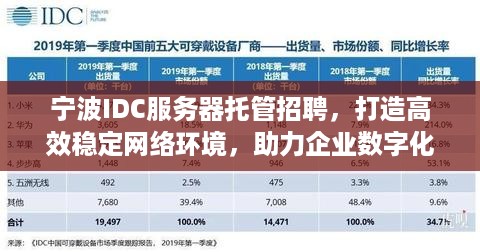 宁波IDC服务器托管招聘，打造高效稳定网络环境，助力企业数字化转型