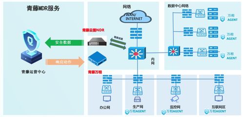 引领未来的口碑服务器系统托管公司——为您的业务保驾护航