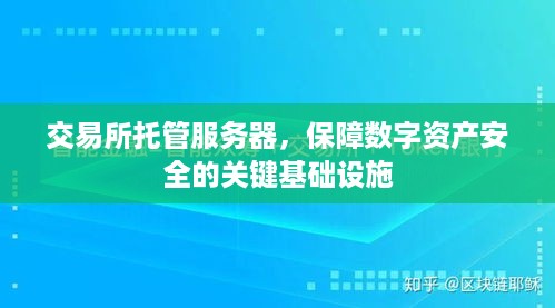 交易所托管服务器，保障数字资产安全的关键基础设施