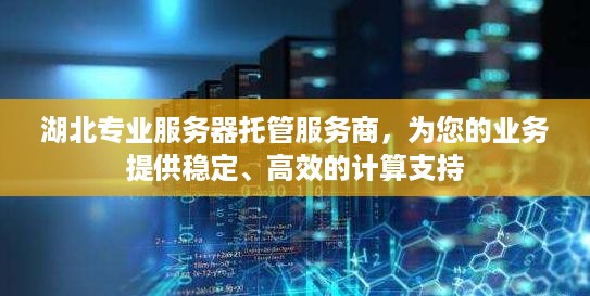 湖北专业服务器托管服务商，为您的业务提供稳定、高效的计算支持