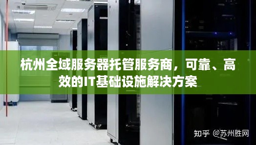 杭州全域服务器托管服务商，可靠、高效的IT基础设施解决方案