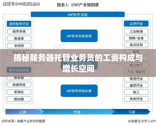 揭秘服务器托管业务员的工资构成与增长空间