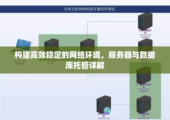 构建高效稳定的网络环境，服务器与数据库托管详解