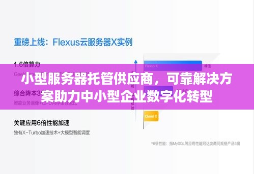 小型服务器托管供应商，可靠解决方案助力中小型企业数字化转型