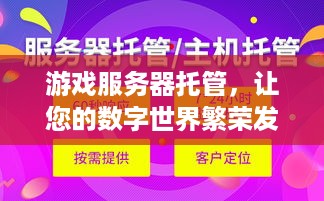 游戏服务器托管，让您的数字世界繁荣发展的关键步骤