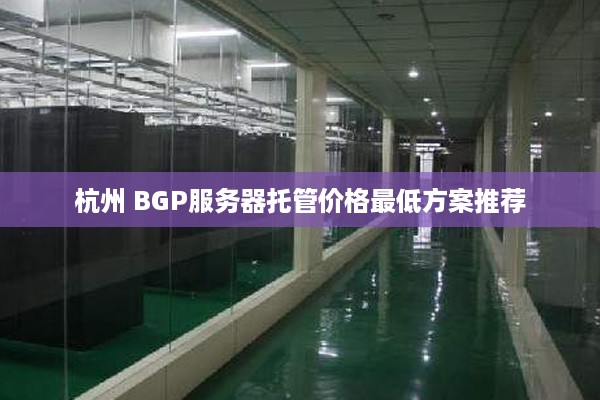 杭州 BGP服务器托管价格最低方案推荐