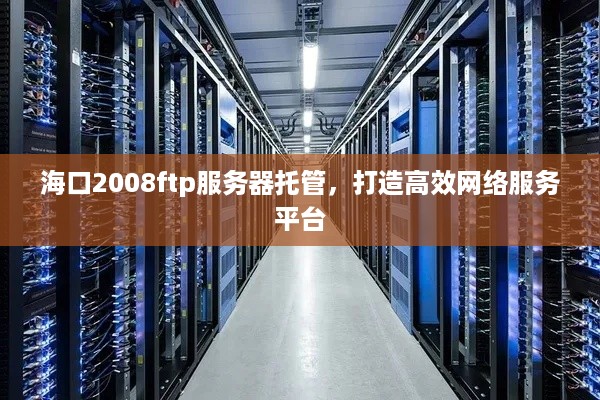 海口2008ftp服务器托管，打造高效网络服务平台