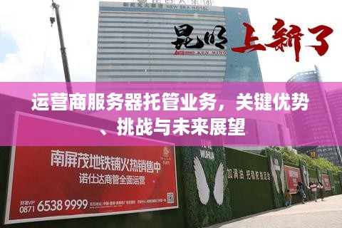 运营商服务器托管业务，关键优势、挑战与未来展望