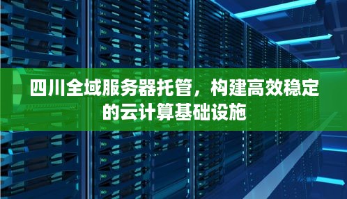 四川全域服务器托管，构建高效稳定的云计算基础设施