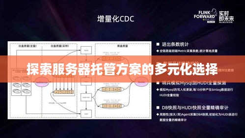 探索服务器托管方案的多元化选择