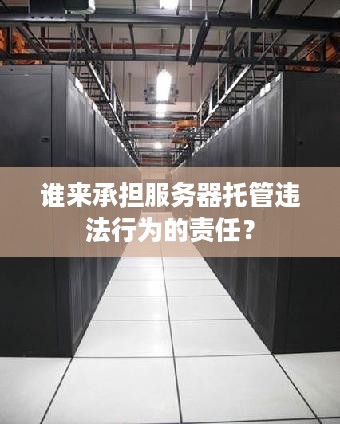 谁来承担服务器托管违法行为的责任？