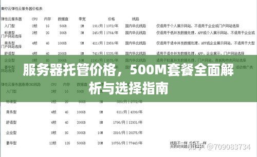 服务器托管价格，500M套餐全面解析与选择指南