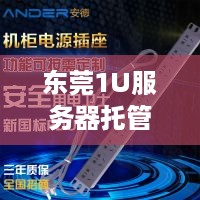 东莞1U服务器托管，可靠、高效与灵活的IT解决方案