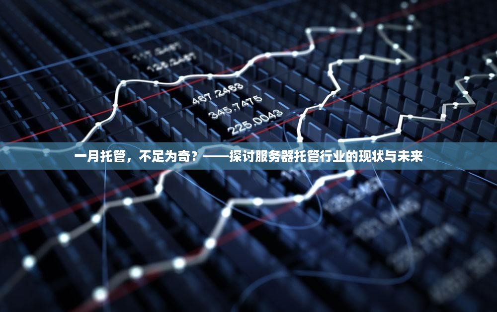 一月托管，不足为奇？——探讨服务器托管行业的现状与未来