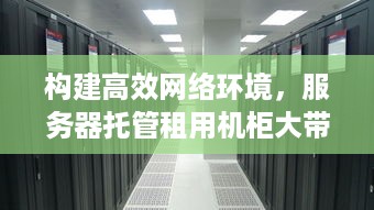 构建高效网络环境，服务器托管租用机柜大带宽解决方案