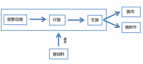 深度解析，2U服务器托管费用的影响因素与比较分析