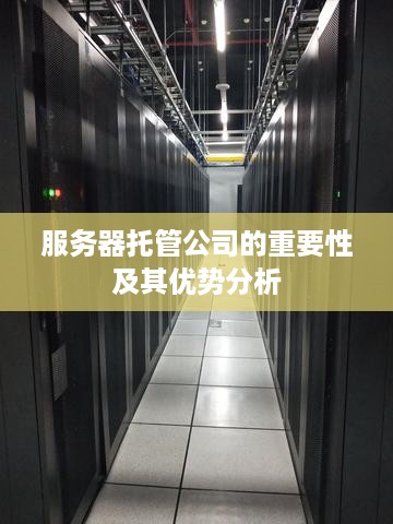 服务器托管公司的重要性及其优势分析