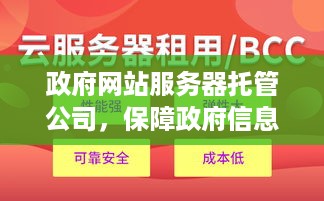 政府网站服务器托管公司，保障政府信息化建设的可靠性与安全性