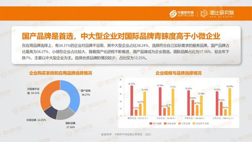 服务器托管市场分析报告，洞察行业动态与发展趋势