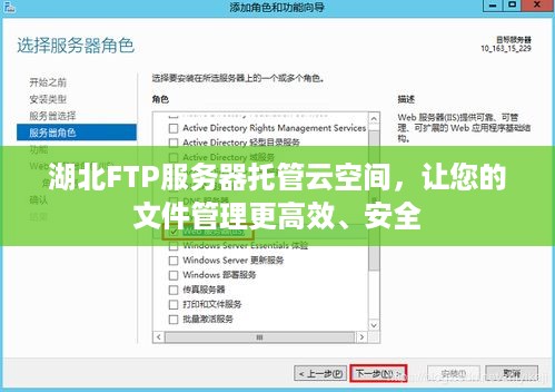 湖北FTP服务器托管云空间，让您的文件管理更高效、安全