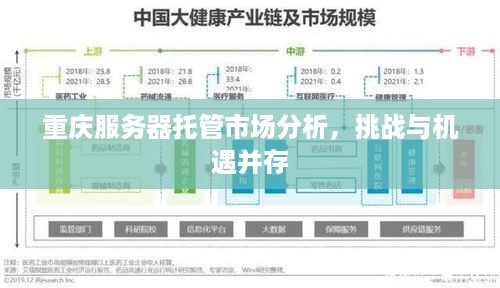 重庆服务器托管市场分析，挑战与机遇并存