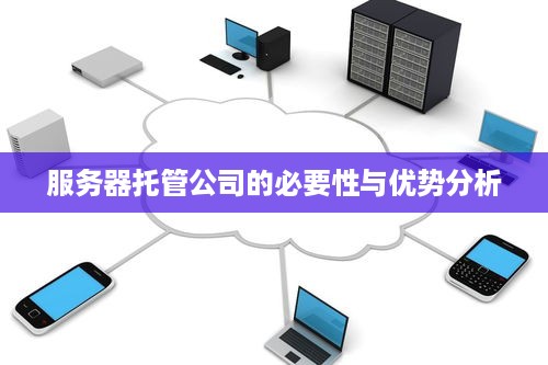 服务器托管公司的必要性与优势分析