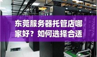 东莞服务器托管店哪家好？如何选择合适的服务器托管服务提供商